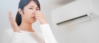 Ac noise / smell repair 